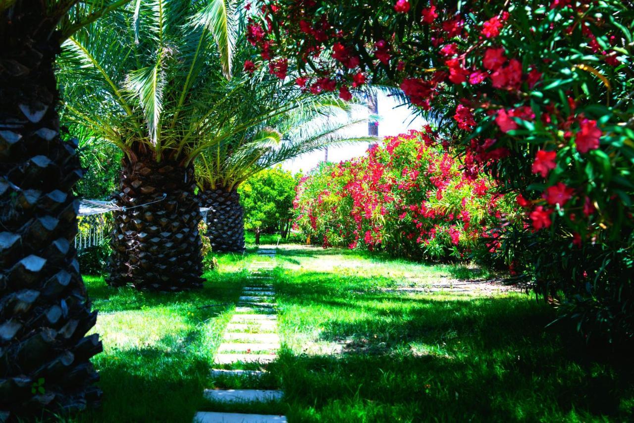 Ancient Meropia - Les Jardins Des Muses Apollonia  Luaran gambar